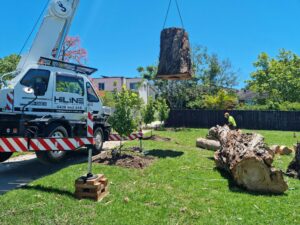 How to Deduct Tree Removals & Landscaping on Your Rental Property Taxes