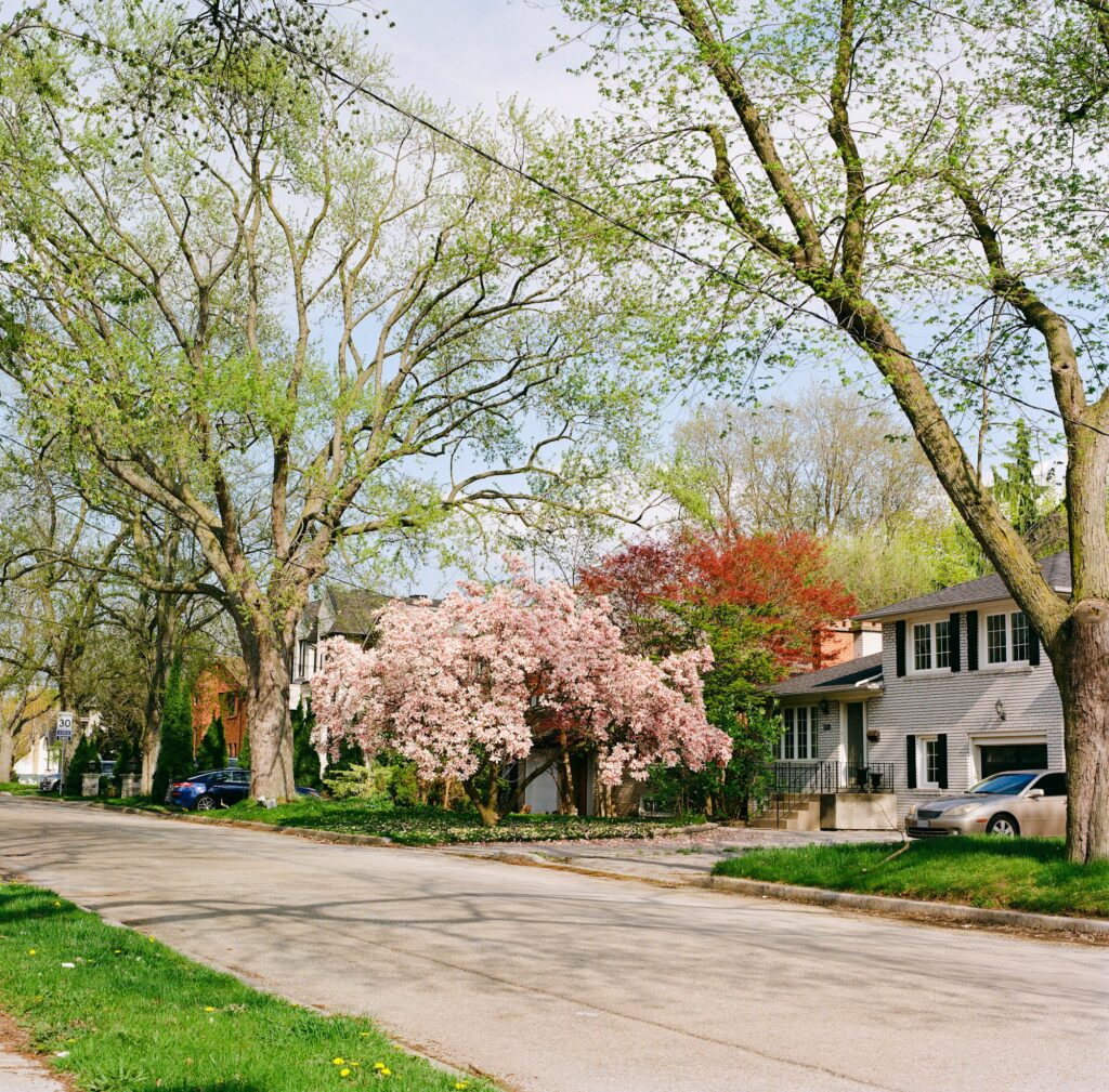 Which Spring Maintenance Expenses Are Deductible On Your Taxes?