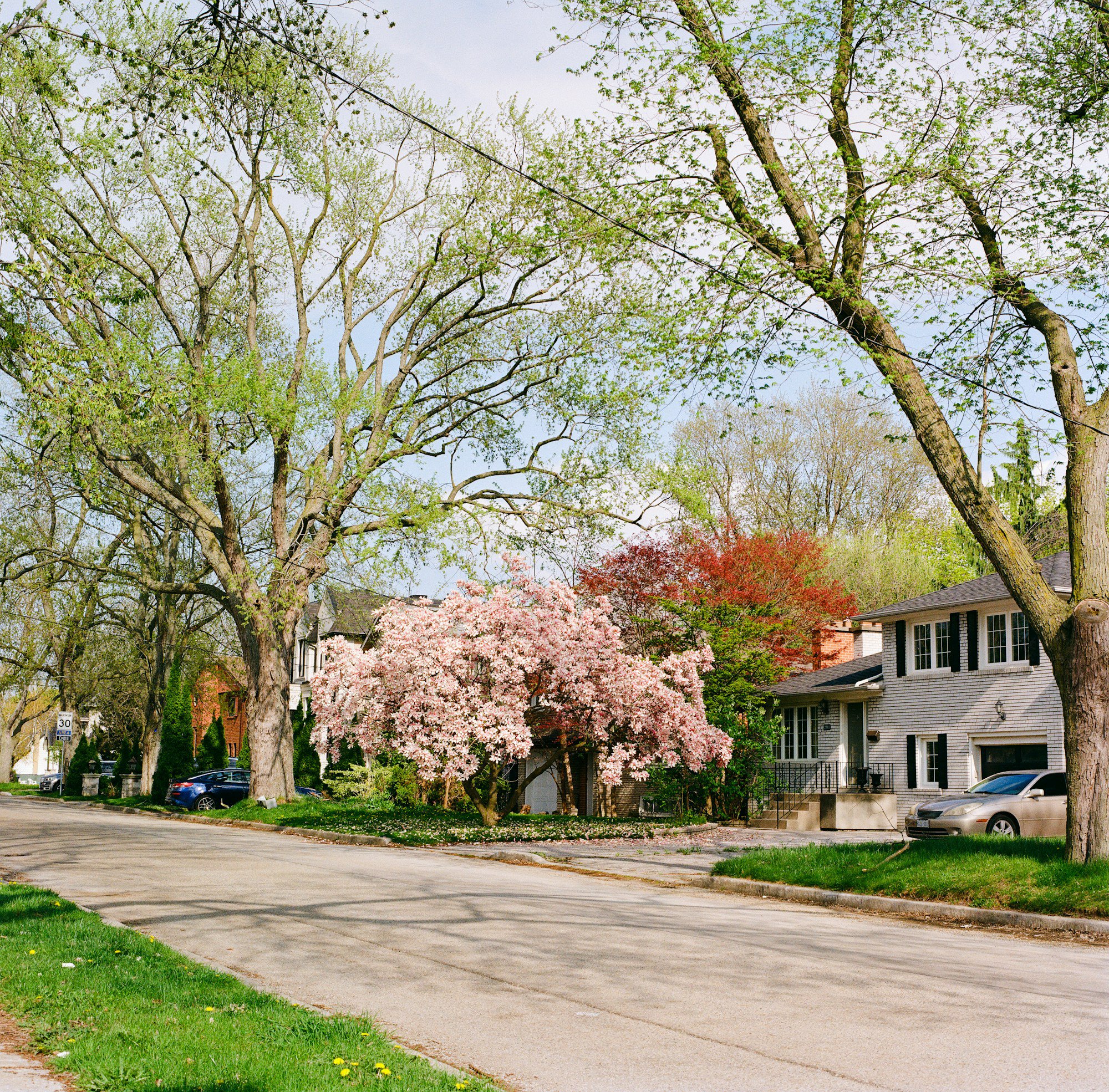 Which Spring Maintenance Expenses Are Deductible On Your Taxes?